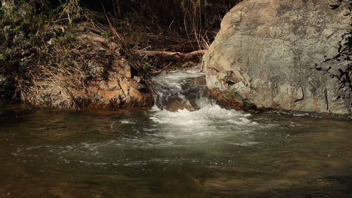 Con éxito culmina proyecto Cuencas hidrográfica de Olmué y Limache. Sonidos e Historias de&nbsp;Agua