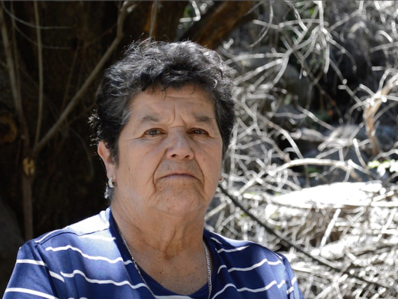 Sra. María Teresa Fuentes sector El&nbsp;Almendral