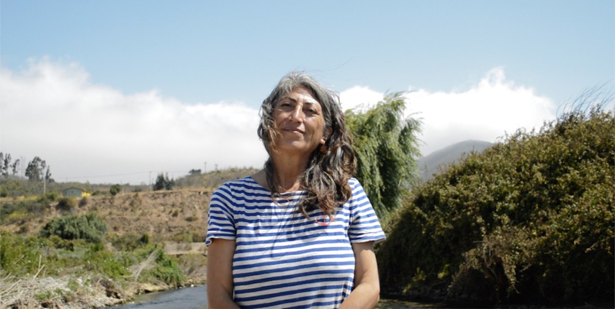 Marcia Tapia Navia «Sector La&nbsp;Victoria»